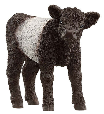 Schleich Farm World - Galloway-Kalb - H: 5,7 cm - 13969