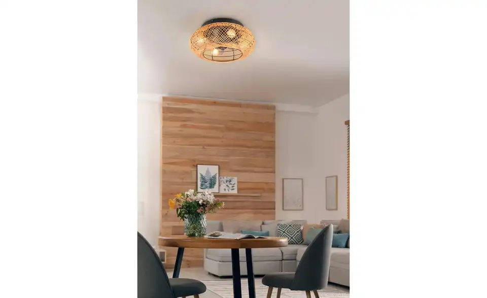 Deckenleuchte mit Ventilator
