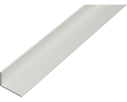Aluminium hoekprofiel, zilver, 40x10x2 mm, 2 m