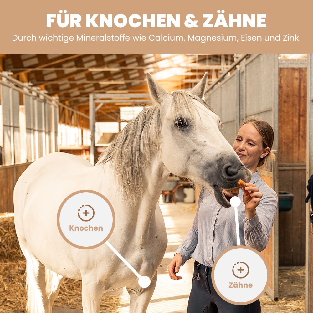 Bio Hanf Pellets Hanfkuchen Pferdefutter Mineralfutter 5kg Beutel