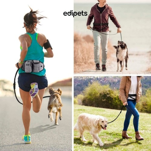 Guia Edipets Canicross Hands-Free com Bolsos de Armazenamento, Azul, para Cães