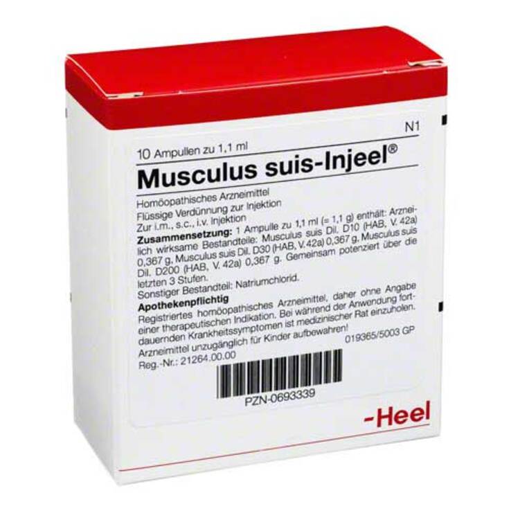 Musculus suis Injeel Ampullen, 10 St