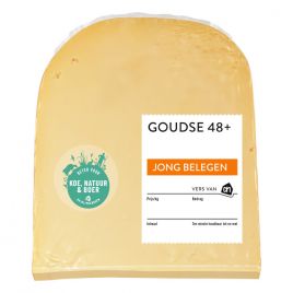 Albert Heijn Goudse jong belegen 48+ kaas blok