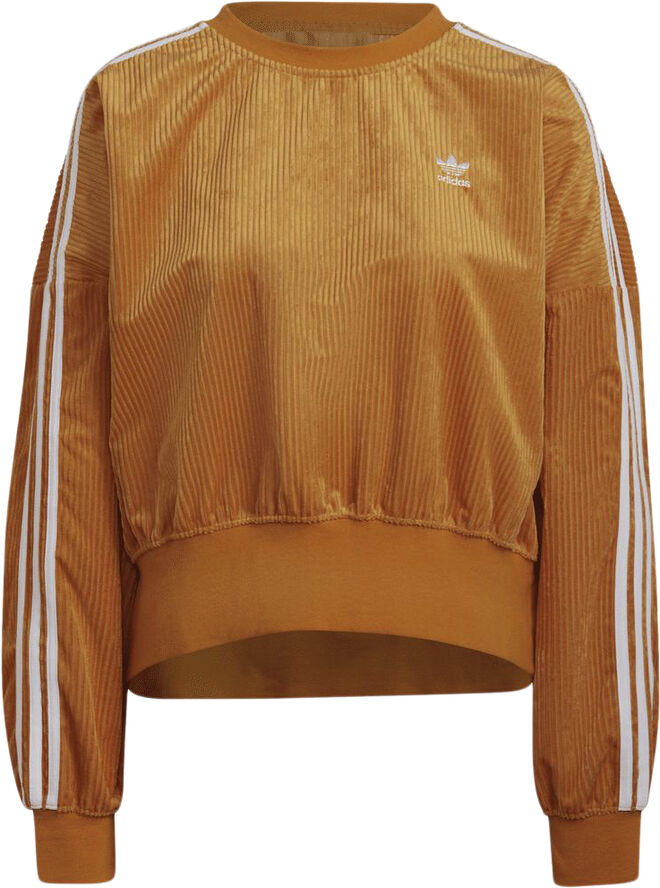 adidas originals sweatshirt Orange
