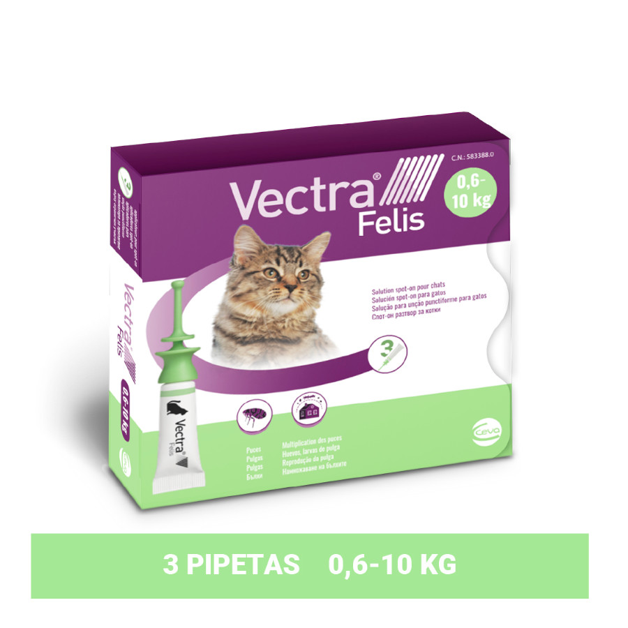 Vectra Felis Pipetas Antiparasitarias para gatos - Pack 3