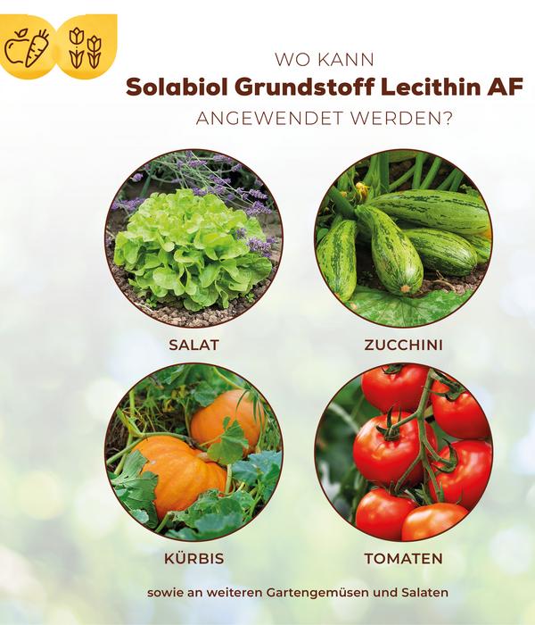 Solabiol® Grundstoff Lecithin Spray,