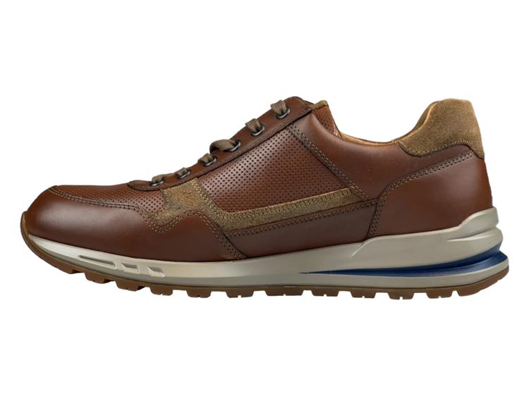 Mephisto Bradley Bruin