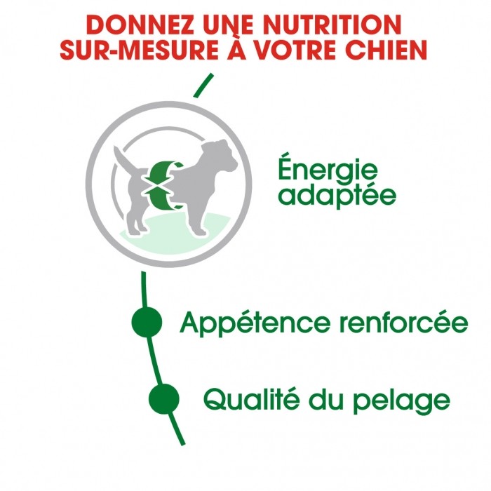 Royal Canin Mini Adult - Croquettes pour chien