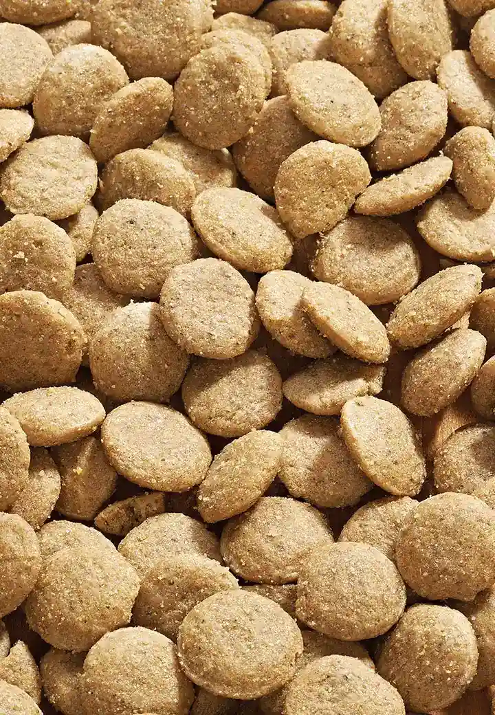 Dog Low Protein