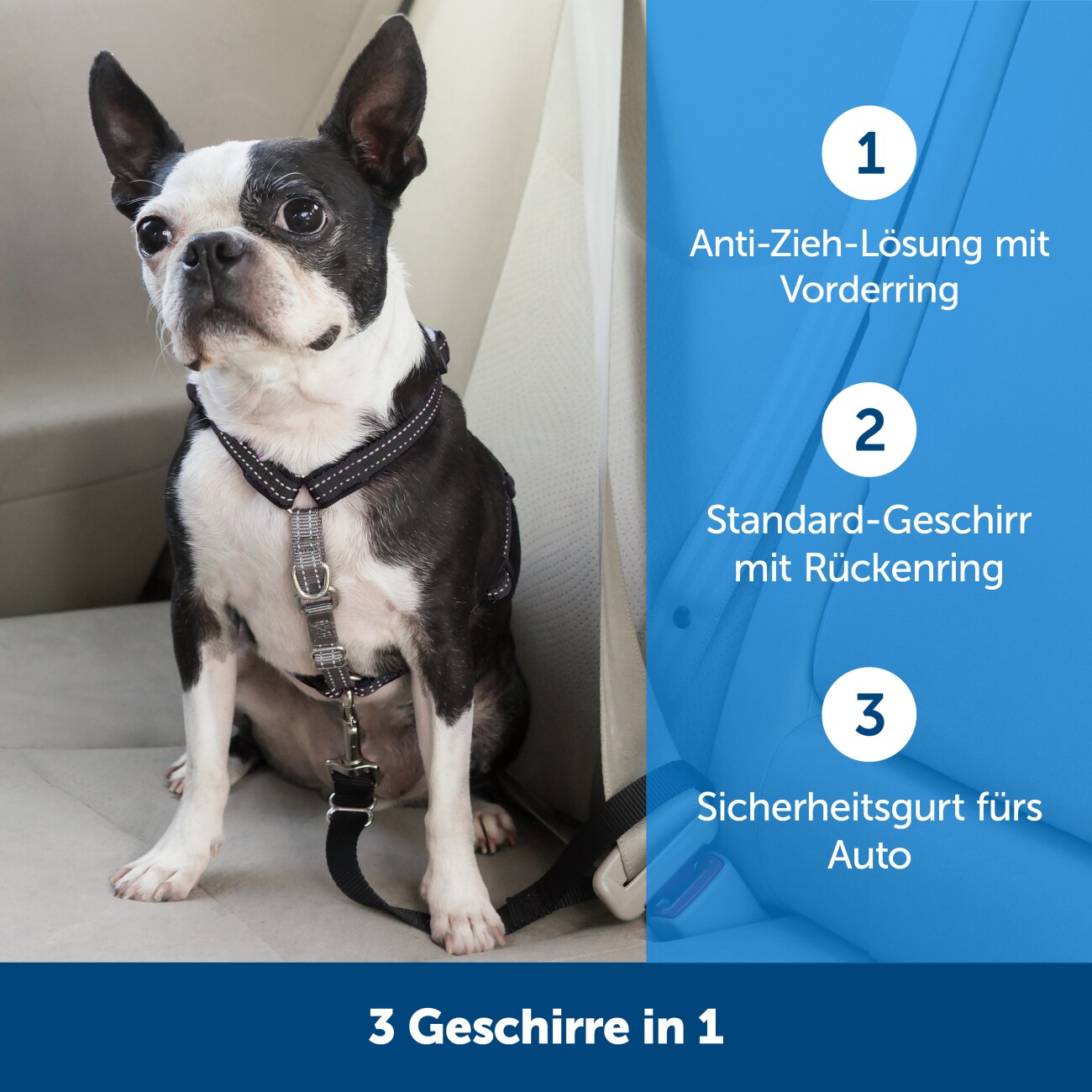 PetSafe 3-in-1-Geschirr und Rückhaltegurt