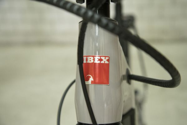 eCOMFORT DS NEO  Crossover E-Bike  ash  47 CM