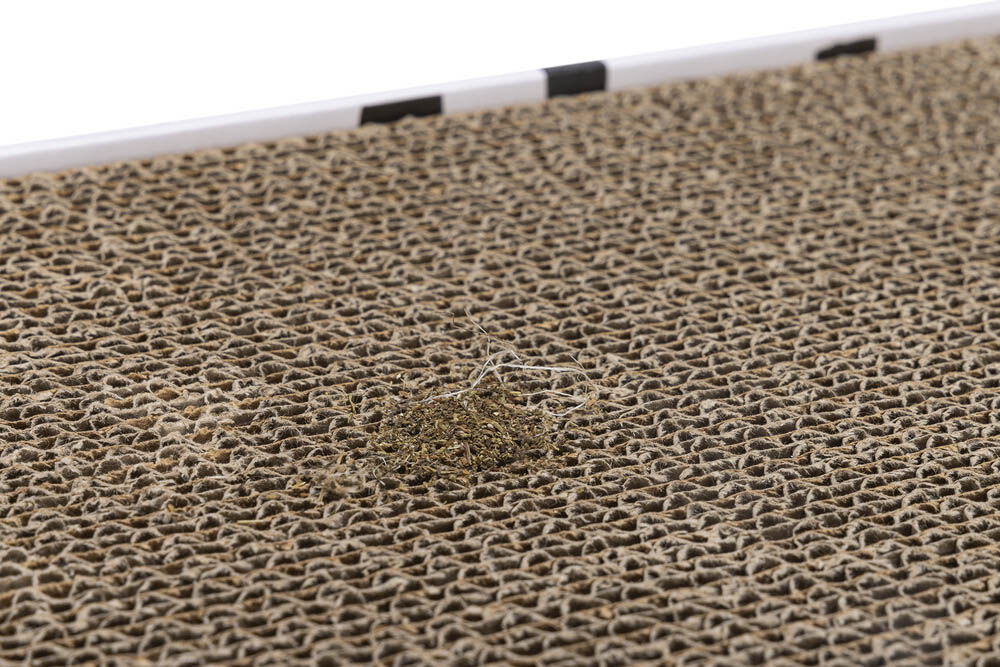Beeztees Jixy Karton - Krabplank - Wit Bruin - 10x47x10 cm
