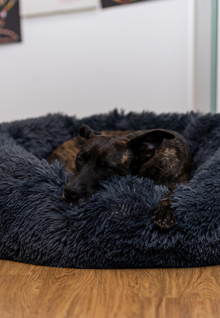 Vet-Concept Kuschelbett