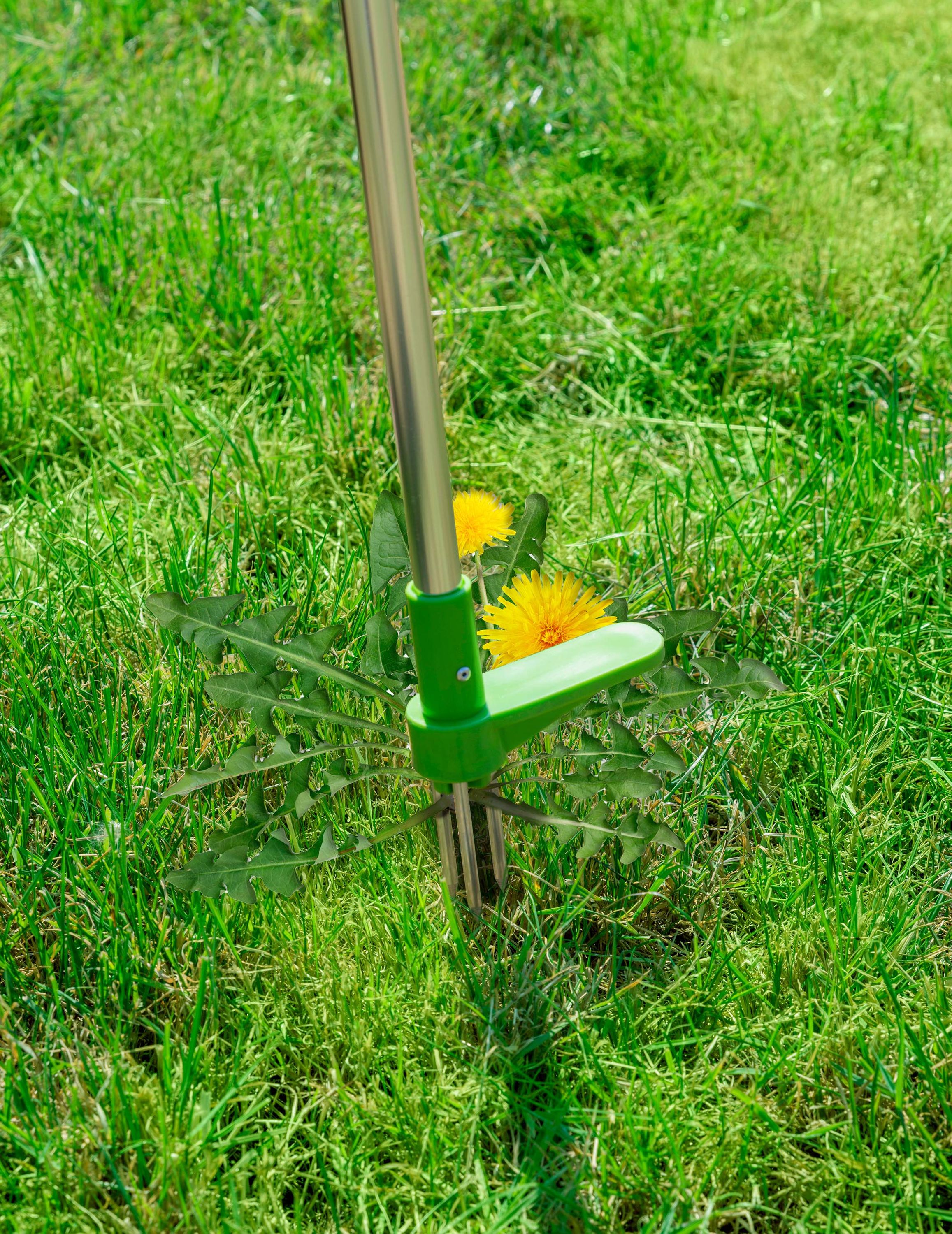 Unkrautstecher 100 cm