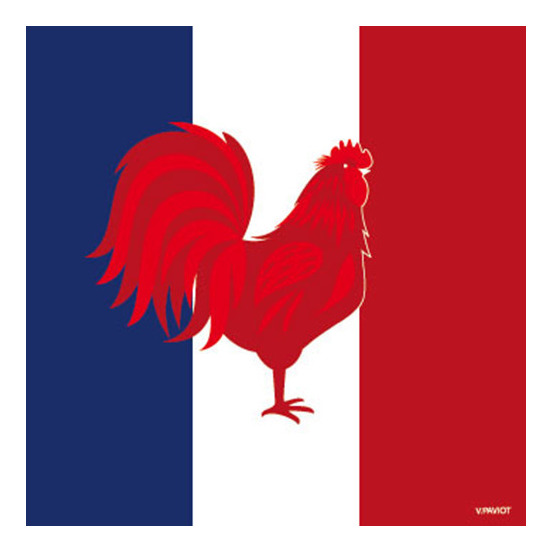 Serviettes x20, intissé 25x25 cm -France