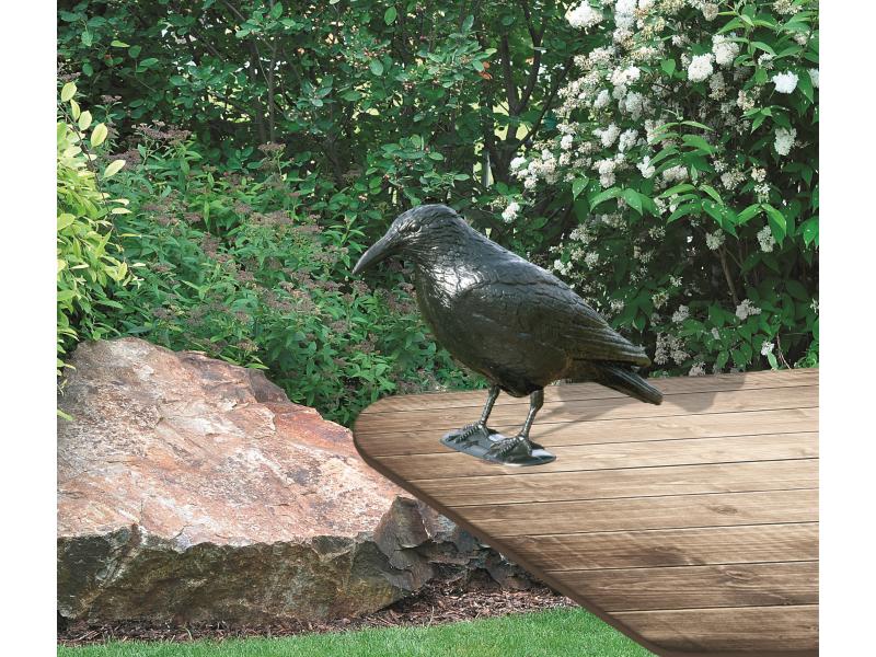 Windhager Taubenabwehr Raben-Imitation Schädlingsbekämpfer Für Schädling: Vogel- & Tauben