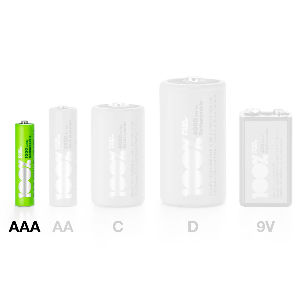 100%PeakPower set van 12 AAA Oplaadbare batterijen