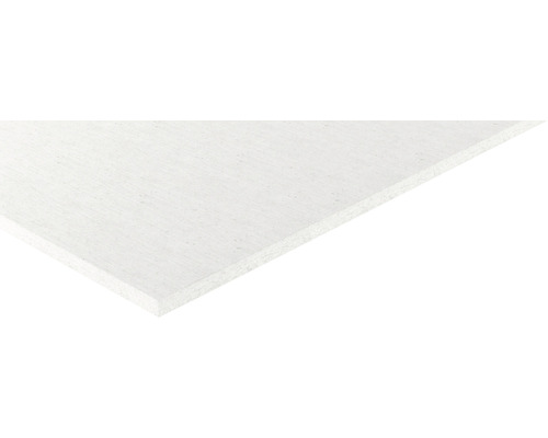 fermacell gipsvezelplaat 2000 x 1250 x 15 mm