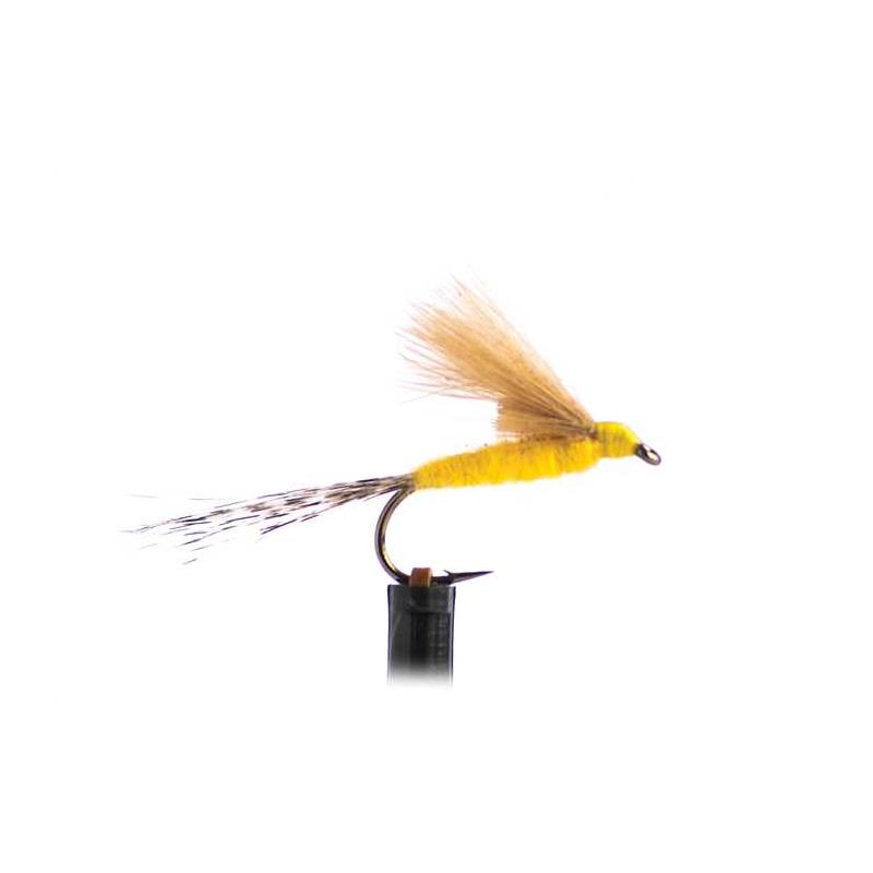 Mouche Tof Ephémère Cdc Pardo - Sulfure Orange