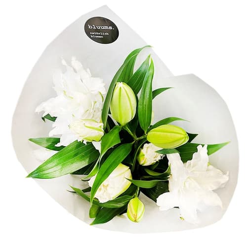 bluums. Lilien weiß