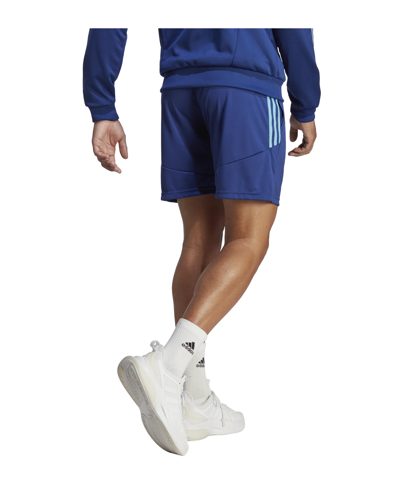 adidas Tiro Short Blau
