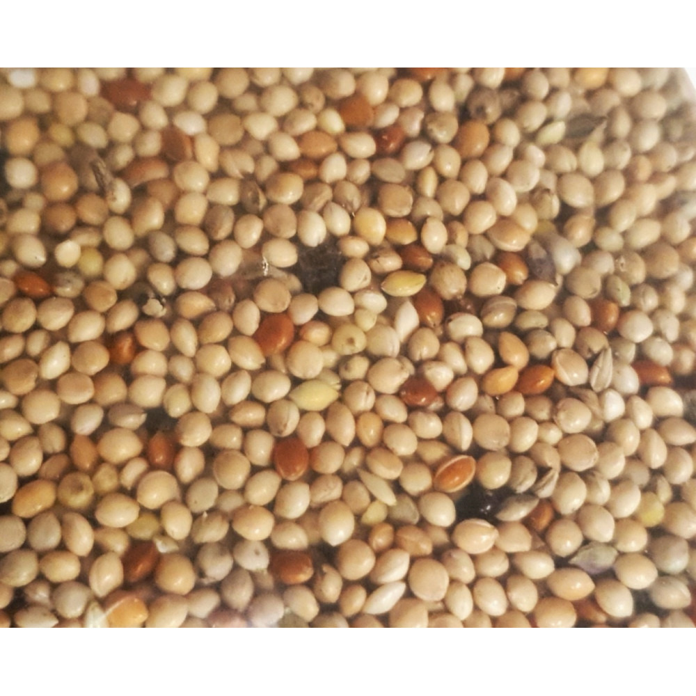 Graines pour oiseaux exotiques sac de 3 kg pour oiseaux