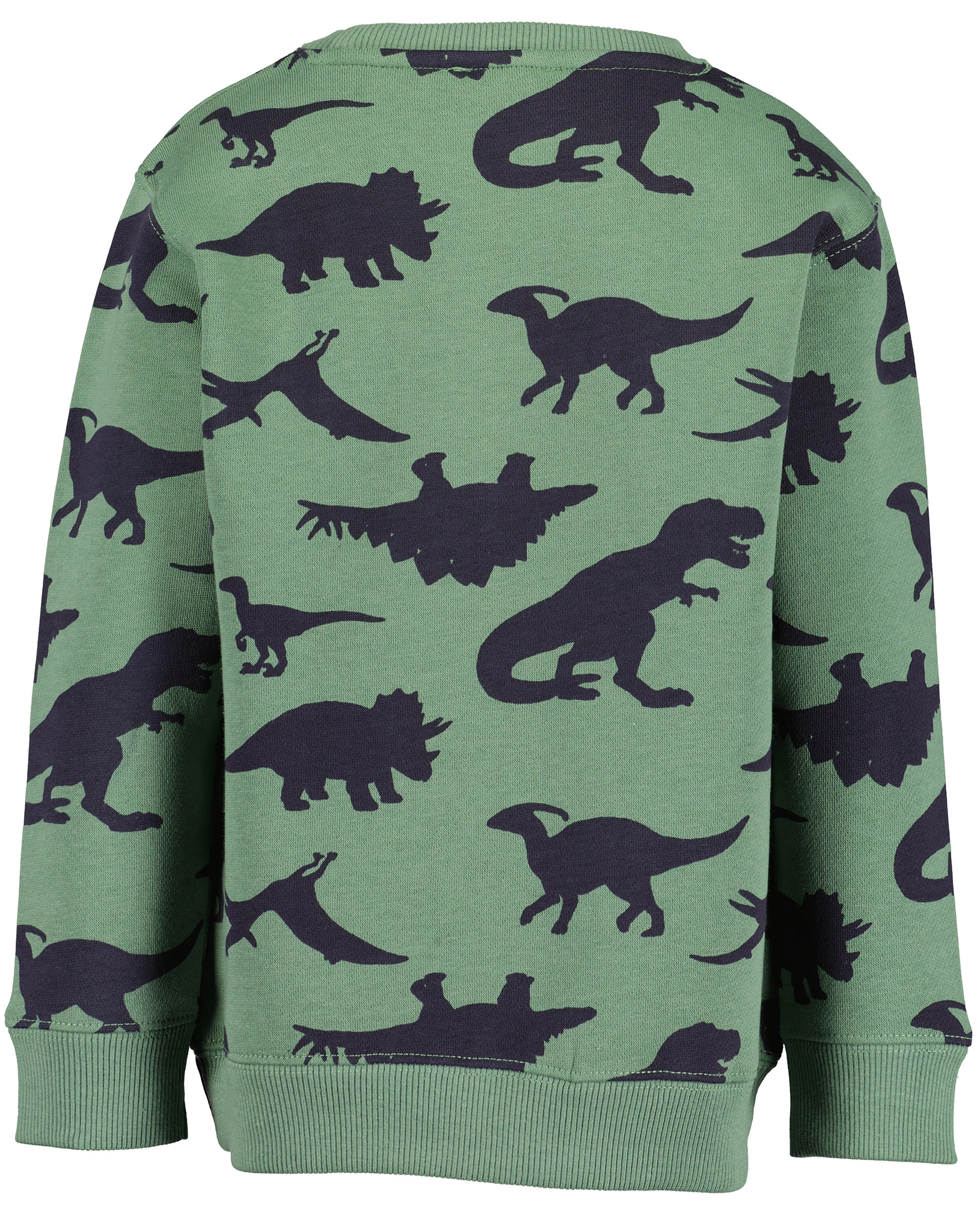 Sweatshirt DINOS ALLOVER in dunkelgrün