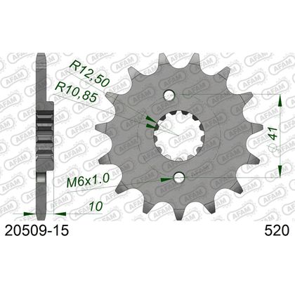 Kit chaine AFAM 520 Type Acier