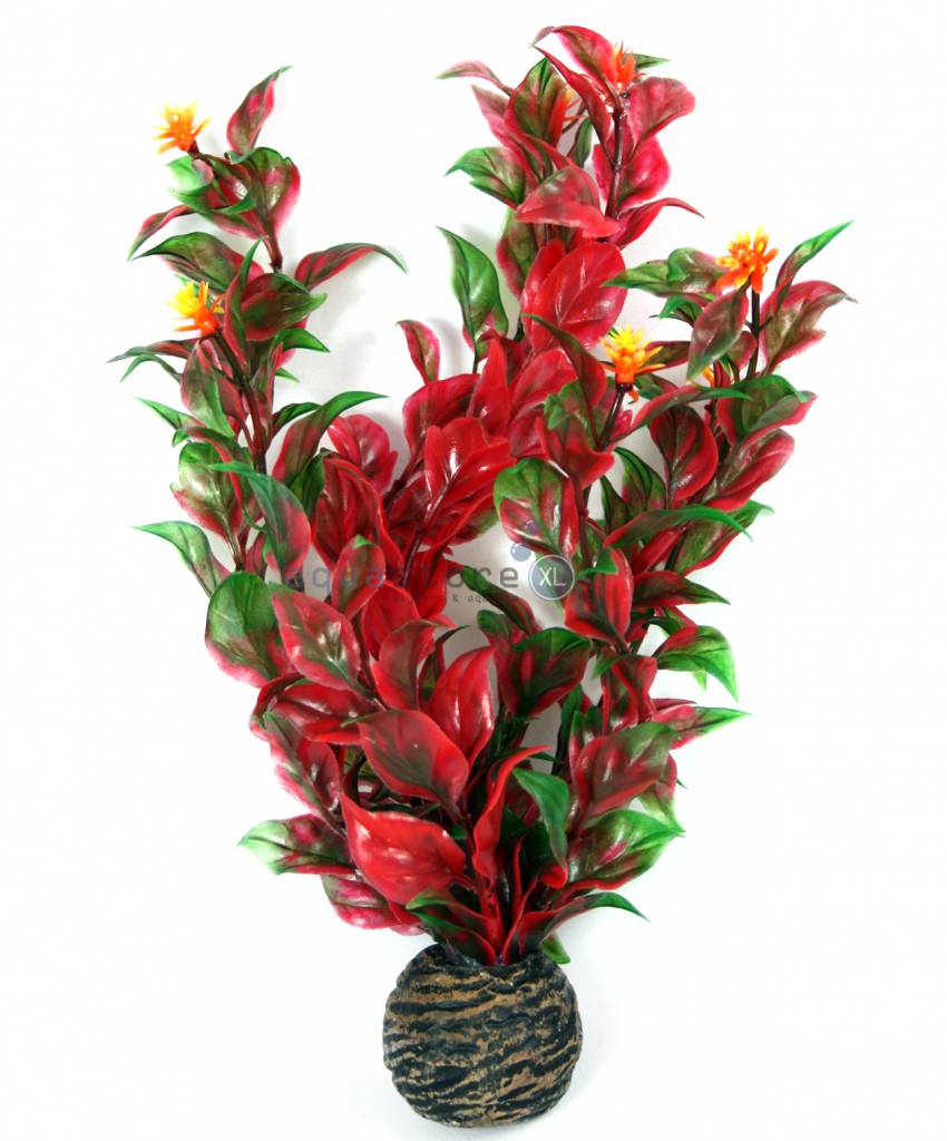 Superfish Easy plants middel 20 cm NR.6
