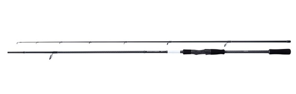 Canne spinning Shimano Bassterra XT  Sea Bass