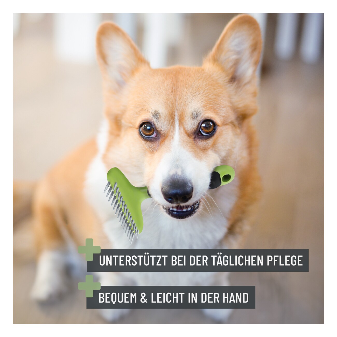 REAVET Fellstriegel für Langhaar