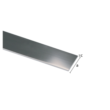 Plat profiel mat zilver aluminium 20x2x1000 mm