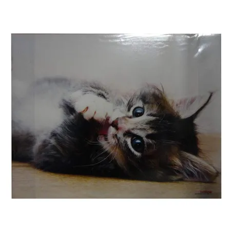 Loer & Schäfer Schreibtischunterlage mit Katzenmotiv, 44 x 35 cm