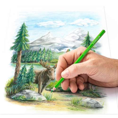 STAEDTLER® Farbstift super soft 146C Sets