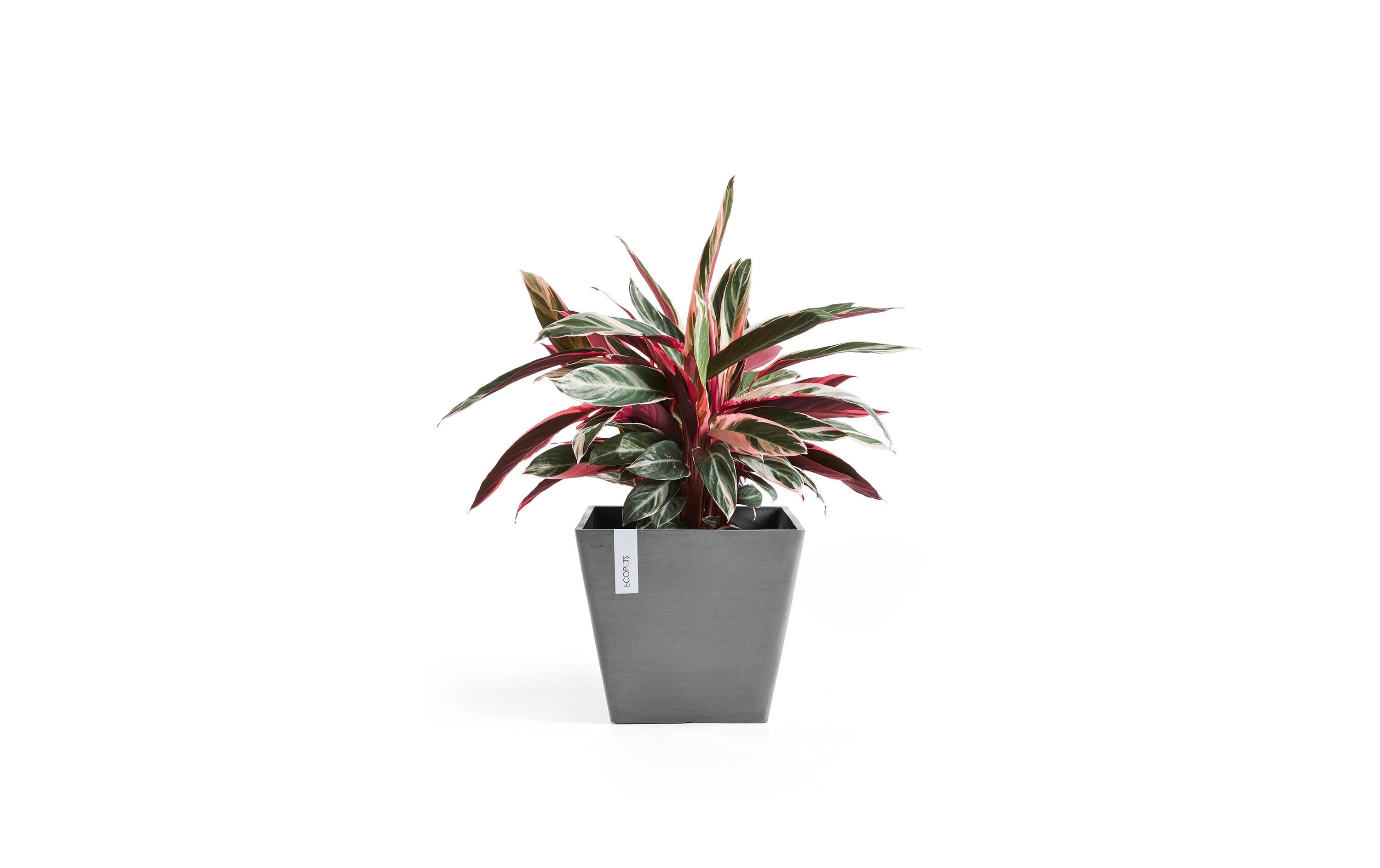 Pflanzentopf Rotterdam 50 GrauBlumentopf
