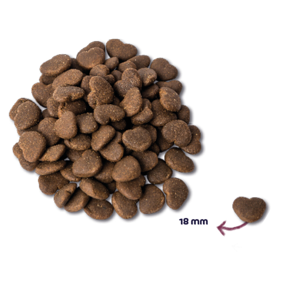 Renske Super Premium Kat Adult Maxi Oceaanvis & Zalm1,5 kg