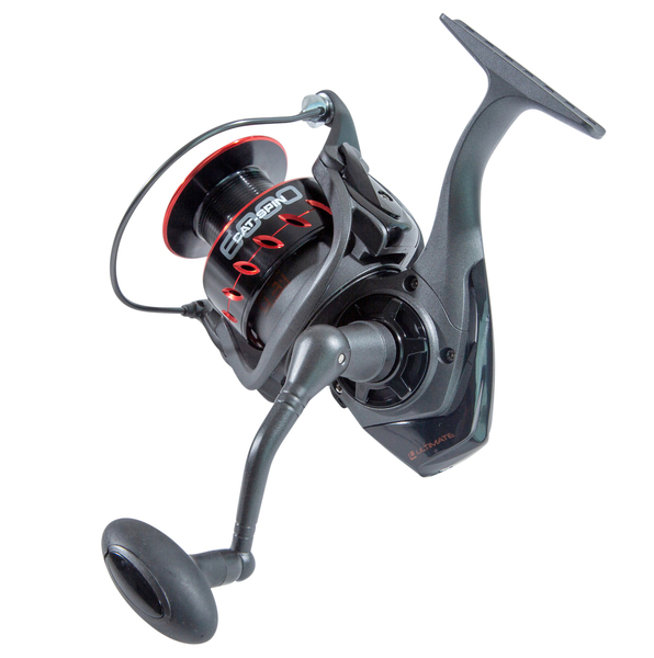 Ensemble Silure Ultimate Catfish Spin Combo 2.70m (50-200g)