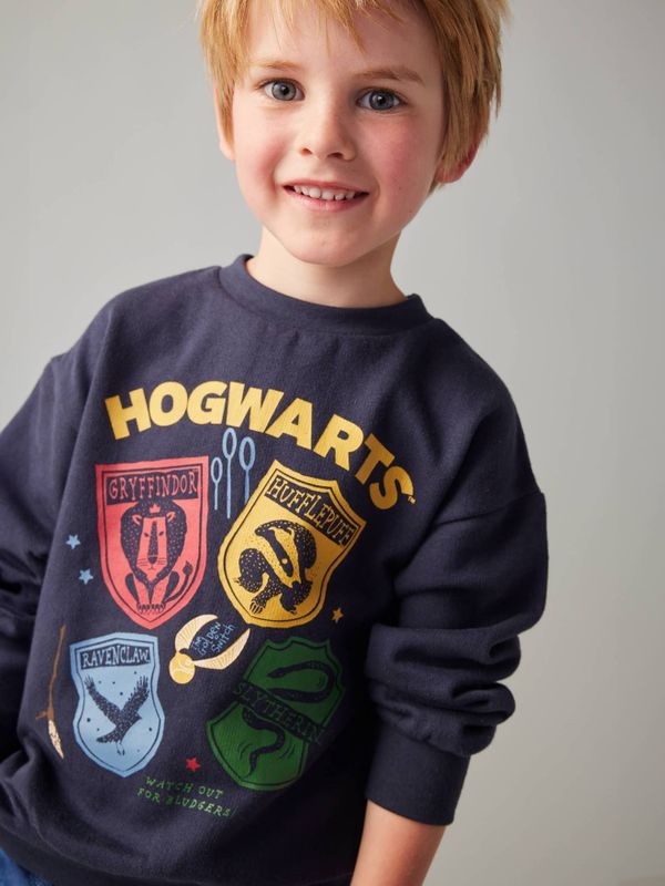 Jongenssweater Harry Potter Wapenschilden nachtblauw