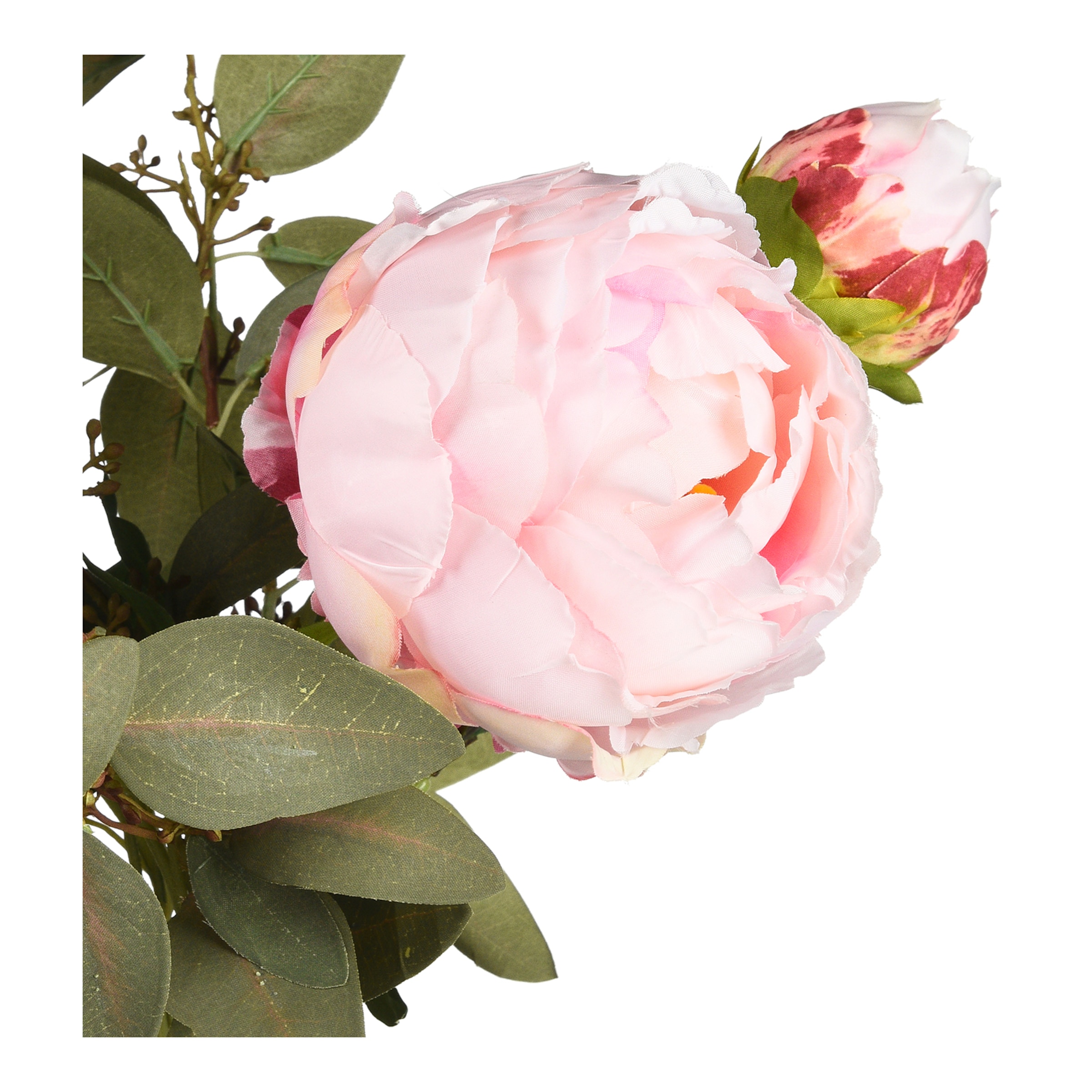 rosa, L 58 cm