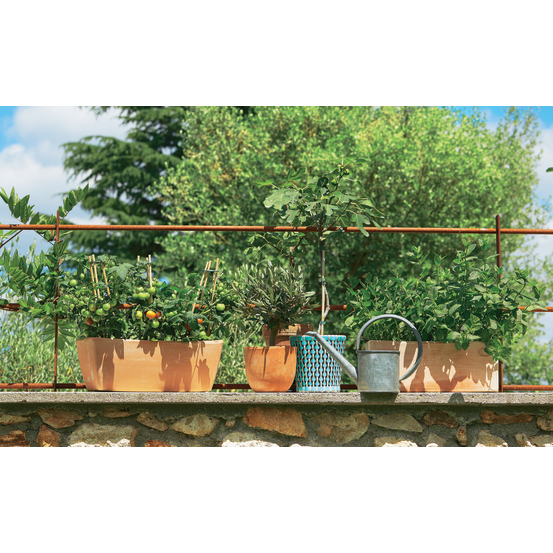 Jardinière contemporaine en terre cuite - 29x14x14cm