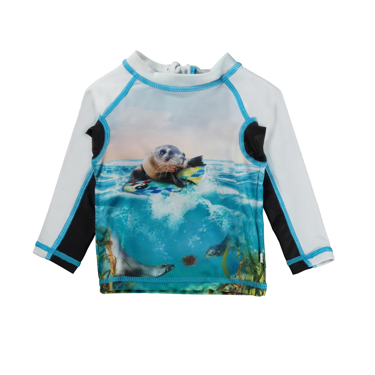 Nemo - Sealion