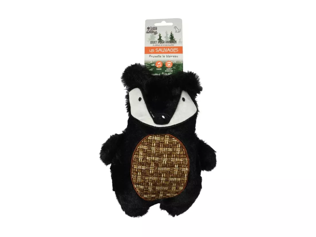 Jouet pour Chien Sonore 