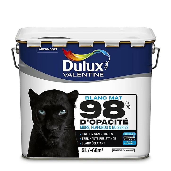 Peinture murs plafonds et boiseries Dulux Valentine 98% monocouche mat blanc 5L