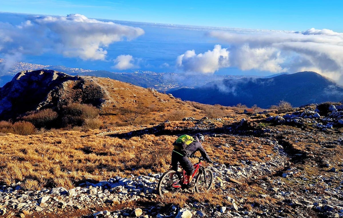 Mountainbike-Grundkurs in Freiburg als Geschenk