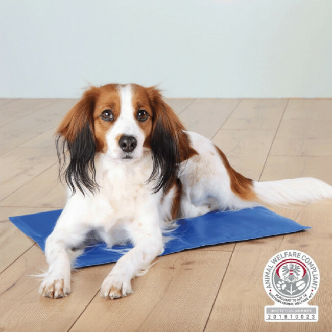 Matelas rafraîchissant bleu Trixie pour chien