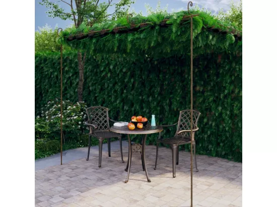 Pergola de jardin Marron antique 4x3x2,5 m Fer