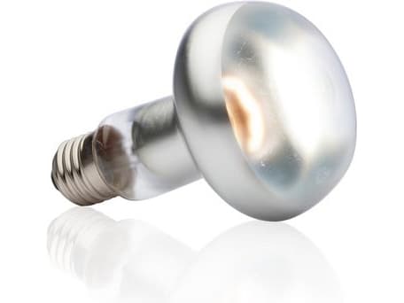 Hagen EXOTERRA INTENSE SPOT Pære 75W