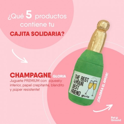 Caixa especial de solidariedade e carinho da Petground para cães.
