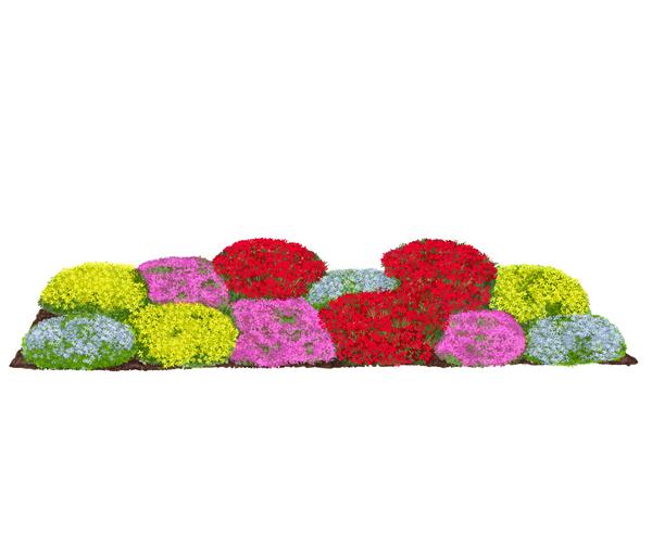 Bio Stauden-Set Bodendecker Patchwork,