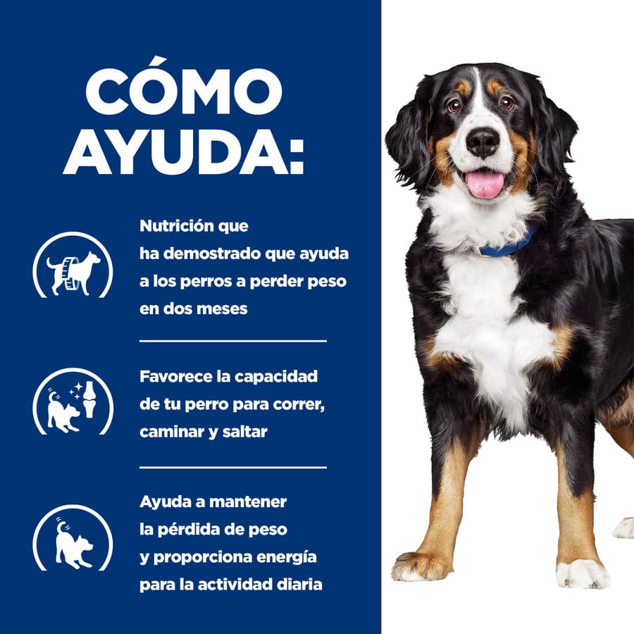 Ração Hill's Prescription Diet j/d Metabolic + Mobility para cães